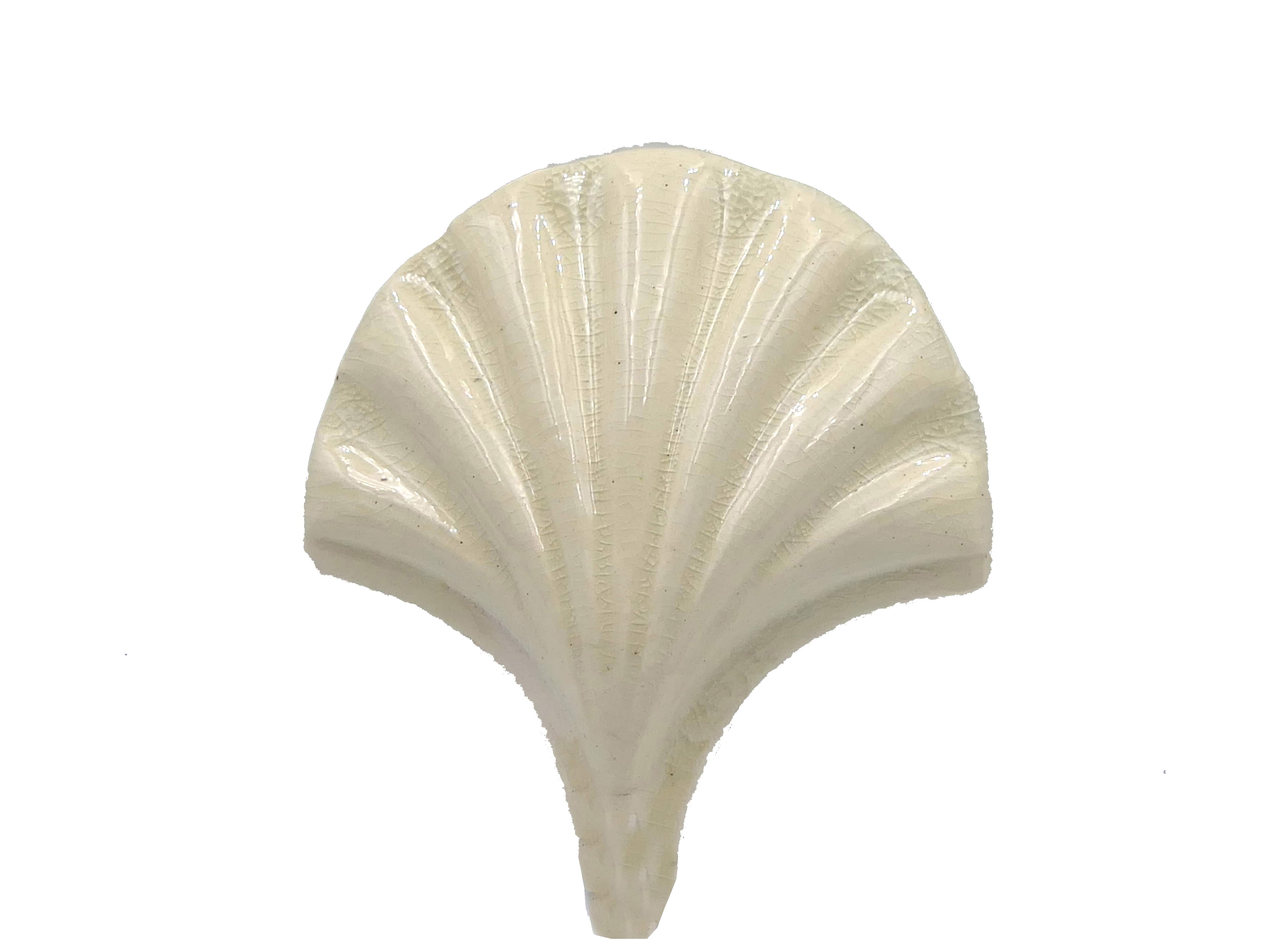 Azulejo de Cerámica Concha Mar Blanco Transparente